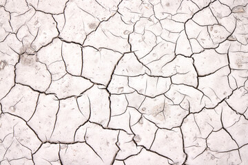 A dry landscape shows cracked earth, revealing the impact of insufficient rainfall and prolonged drought. The sunlight emphasizes the intricate patterns formed in the ground