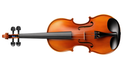 Violin performance action concert hall musical instrument artistic environment close-up view sound and emotion
