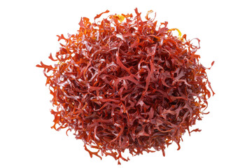 Fototapeta premium Crimson tangle on a black void A microscopic sea of organic forms