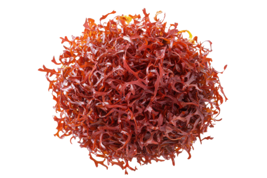 Crimson tangle on a black void A microscopic sea of organic forms