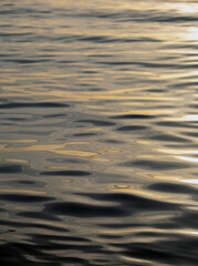 Abstract background. Water ripples