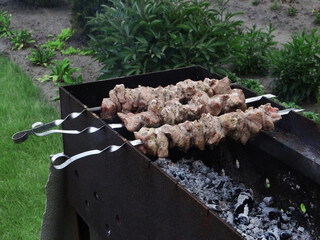 Juicy shish kebab skewers grilling over charcoal fire outdoors, smoky barbecue food preparation, grilled meat