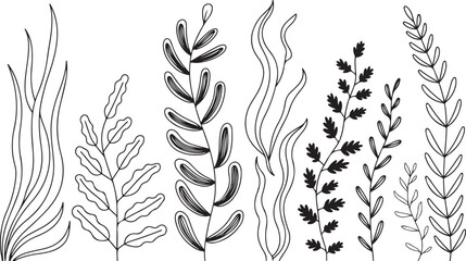 Fototapeta premium Black and white illustration of various leaves and plant stems, perfect for botanical, nature, and organic design themes.
