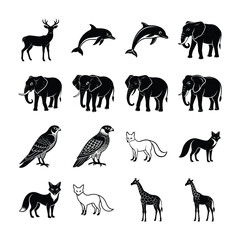 wild animals collection