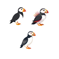 set of cartoon birds