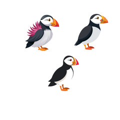 set of cartoon birds isolated