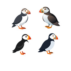 set of funny cartoon penguins