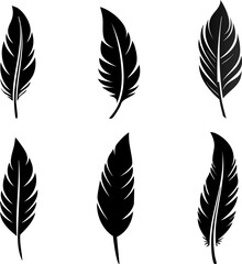 set of feathers, feather bundle, pen feather icons