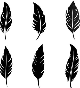 set of feathers, feather bundle, pen feather icons