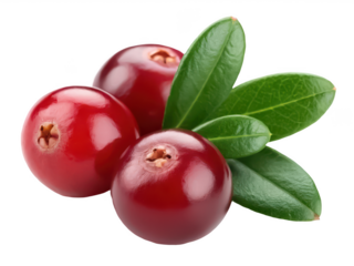 Cranberry fruit png red berry clipart png organic cranberry png healthy fruit image png seasonal berry graphic png antioxidant fruit png transparent background image