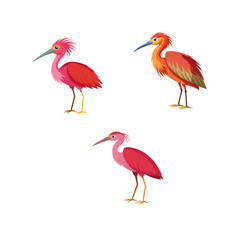 vector illustration of a set of birds