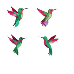 hummingbird and flowers