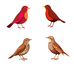 set of red birds