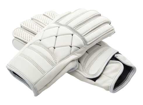 Cricket wicket keeping gloves png sports catching gloves png cricket keeper gear png padded gloves png hand protection equipment png cricket match gloves png transparent background image