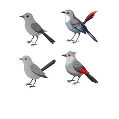 set of birds