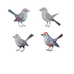 set of birds