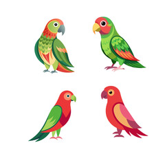 two parrots on white background
