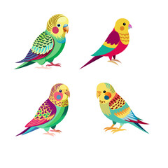 set of colorful birds isolated on white