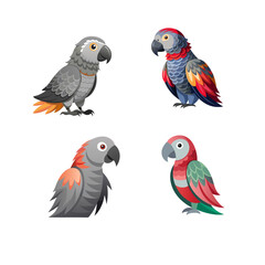 set of parrots