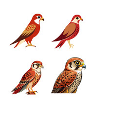 set of birds