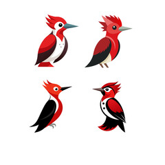 set of birds