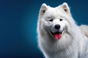 Fototapeta premium Radiant smile of a Samoyed in a blue dream world, showcasing the breed's natural charm and ethereal beauty