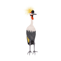 Grey crowned crane isolated. African birds. Children cute animal vector illustration.