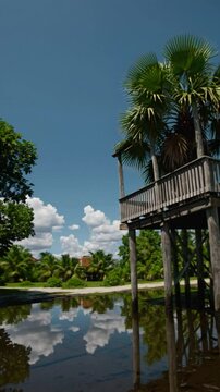 Maison tropicale sur pilotis