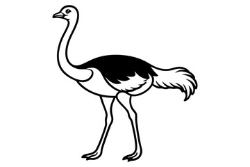 Fototapeta premium Running Ostrich Line Art Vector
