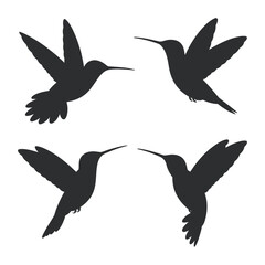 Four Hummingbird Silhouettes in Different Flight Positions for Design Elements