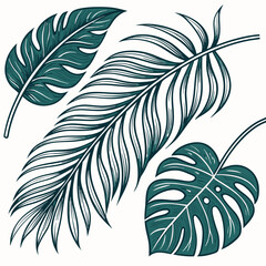 Set of tropical leaves and palm fronds vector illustration.