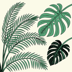 Set of tropical leaves and palm fronds vector illustration.