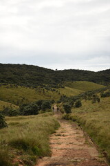 Obraz premium A Couple on a Hike in Horton Plains National Park, Sri Lanka.