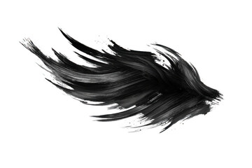 Obraz premium Abstract black paint stroke isolated on transparent background