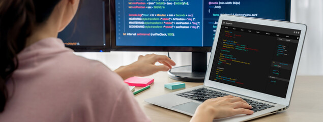 Software development programming on computer screen for brisk application and program coding