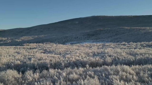 El dron se eleva justo antes de pasar por encima de las copas de los &aacute;rboles nevados del Parque Nacional Una. La vista a&eacute;rea revela una inmensidad de bosque cubierto de nieve.
