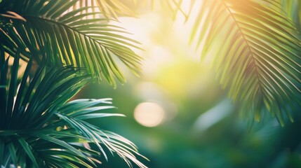 Lush Green Tropical Leaves with Soft Sunlight in Background