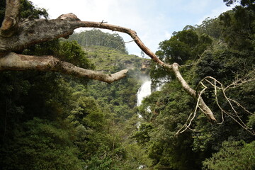 Bomburu Ella Waterfall, Galpalama, Nuwara Eliya, Sri Lanka.