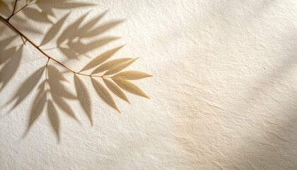 Beige Textured Background with Leaf Shadow and Branch