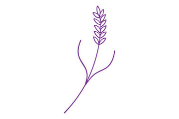 Obraz premium Lavender Flower Stalk Minimalist Line Drawing