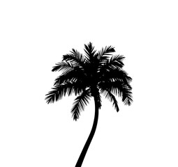 Palm Tree Silhouette: A striking black silhouette of a solitary palm tree, evoking a sense of tropical serenity and island vibes. capturing the beauty of the natural world.
