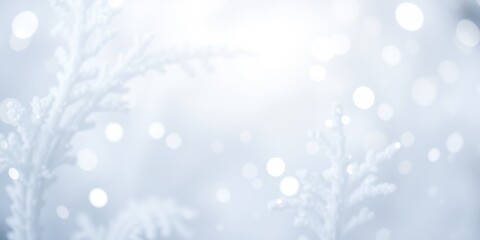 A blurred background featuring soft white bokeh lights and subtle plant silhouettes in a hazy scene