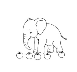 Obraz premium Baby Elephant and Tomatoes: An adorable baby elephant carefully steps between a row of ripe red tomatoes.