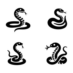 Fototapeta premium snake