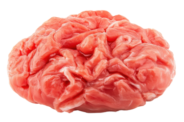 Vividly detailed unsettling raw brain against pure white background