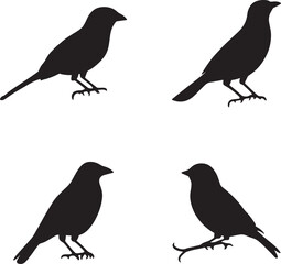 This artwork is digitally enhanced using AI and manually edited for quality. Silhouette Set of Small Birds – Vector Illustration