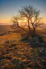 A spring getaway to the Česk&eacute; středohoř&iacute; with the little one