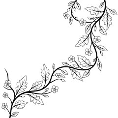 Obraz premium Elegant Floral Corner Border - Black Line Art on White