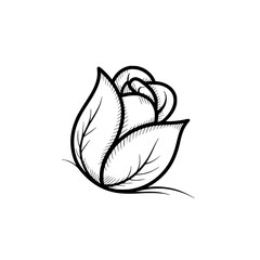 Elegant Line Art Rose Illustration: Black & White Floral Vector