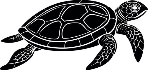 turtle vector illustration